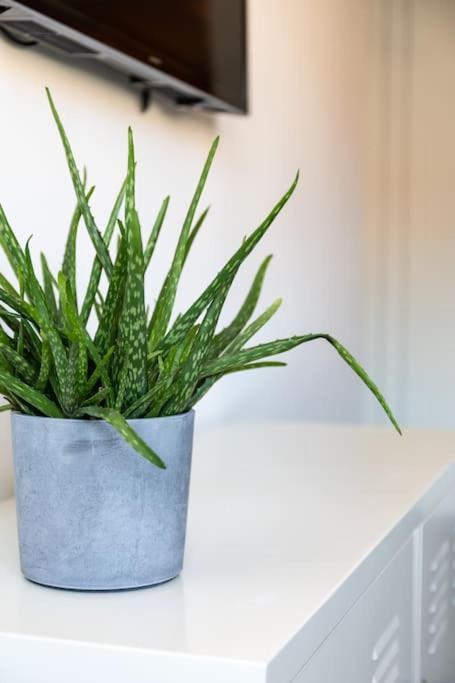 Apartamento Sanxenxo Centro 아파트 외부 사진